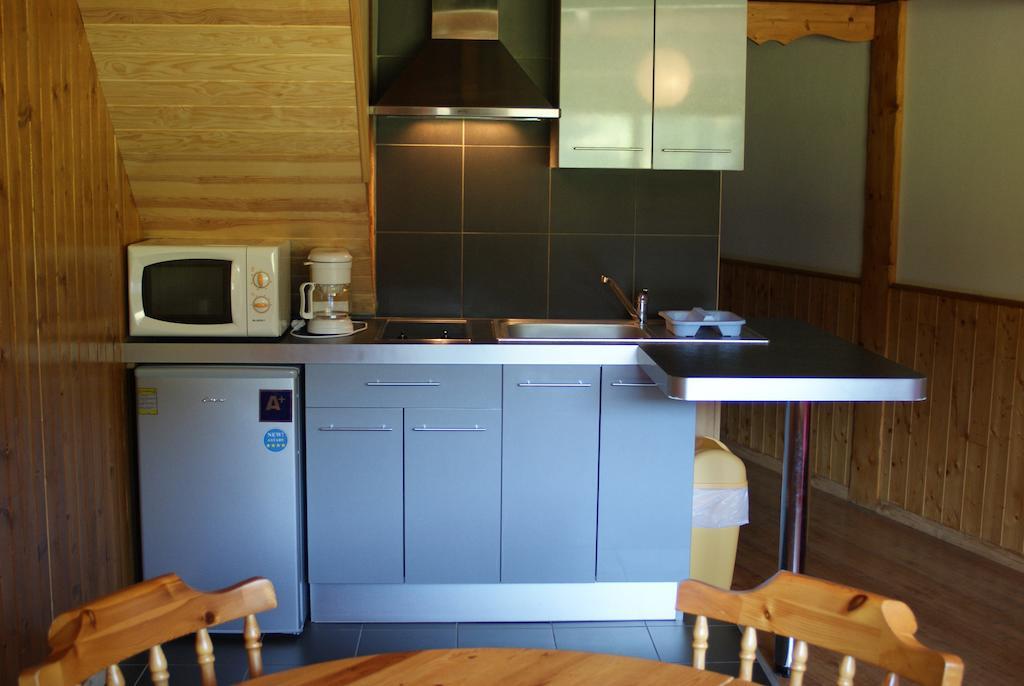 LE SAPORTA- Studios et Appartements meublés de tourisme Le Lioran Habitación foto